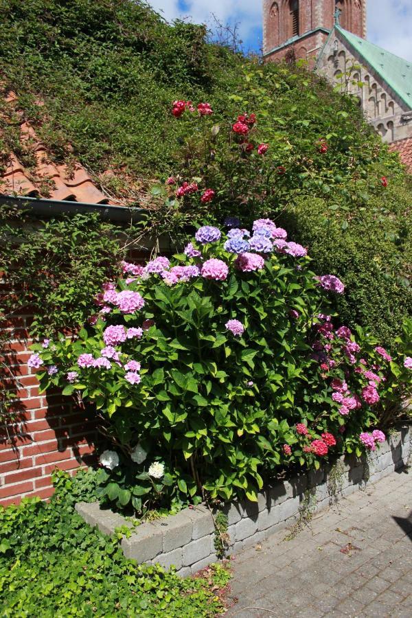 Ribe Ferielejlighed エクステリア 写真